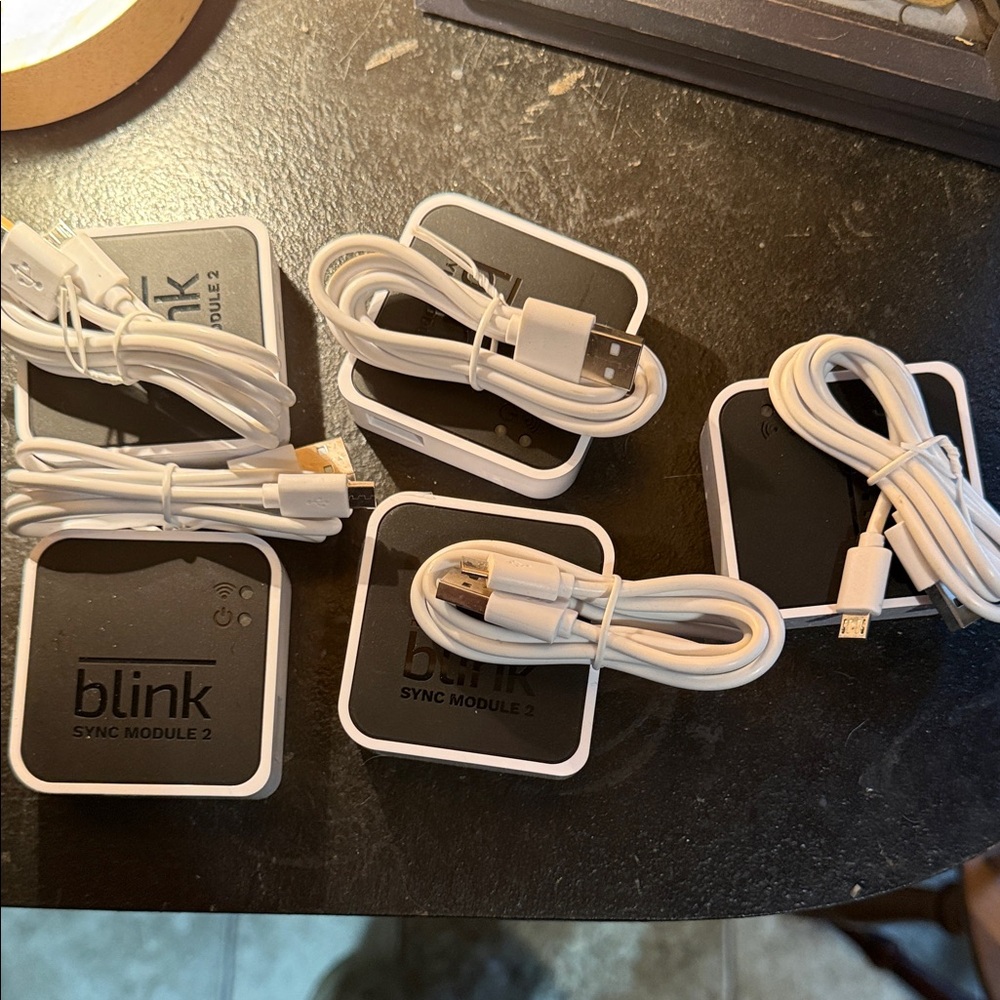 Blink Sync Module 2 - Black and White Adapter